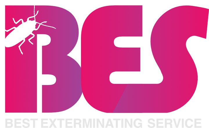 BES Logo