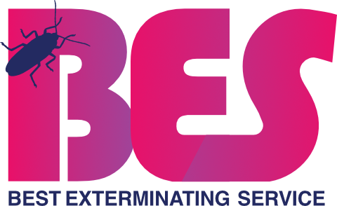 BES Logo