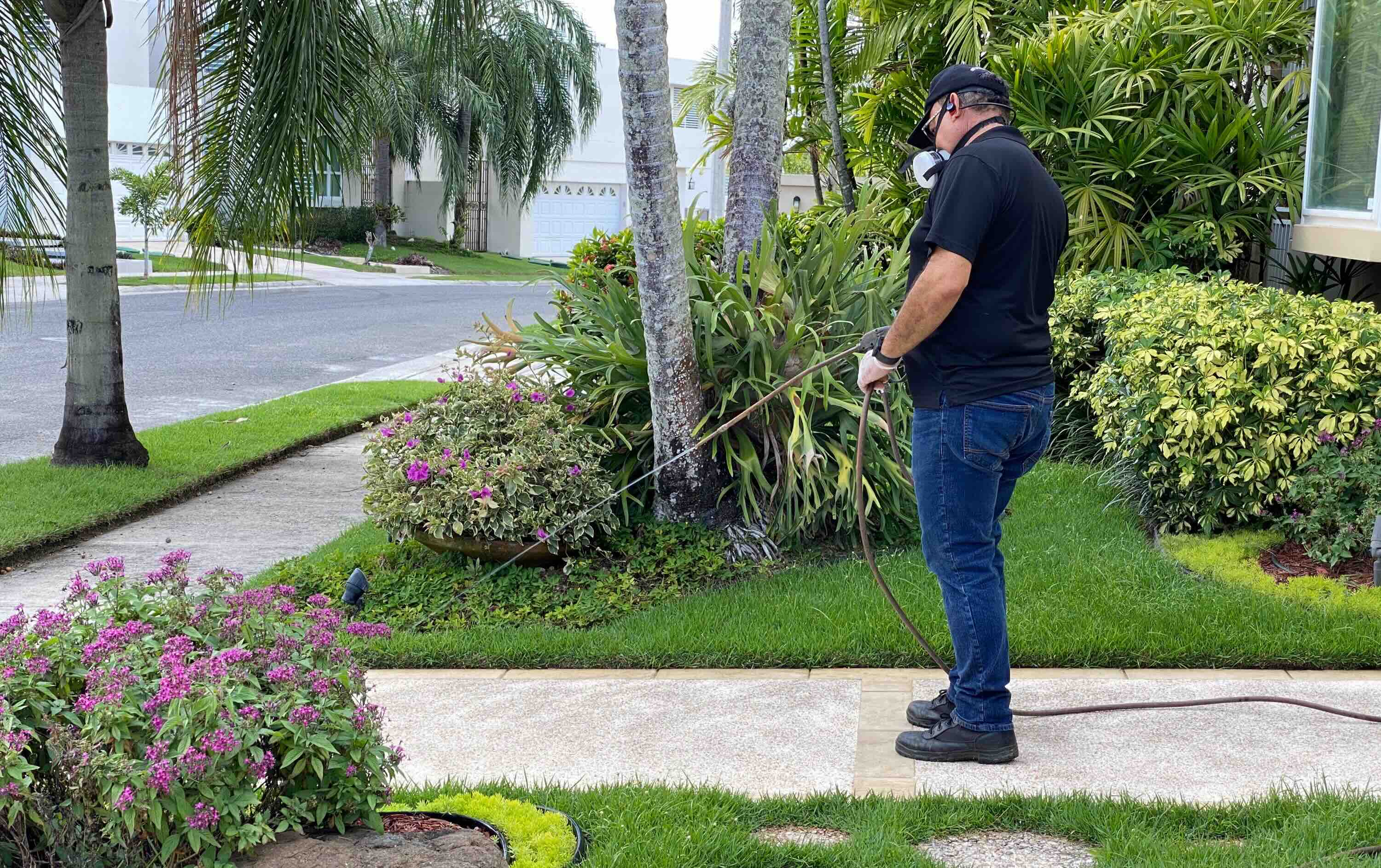 Técnico certificado aplicando tratamiento profesional contra plagas en área residencial